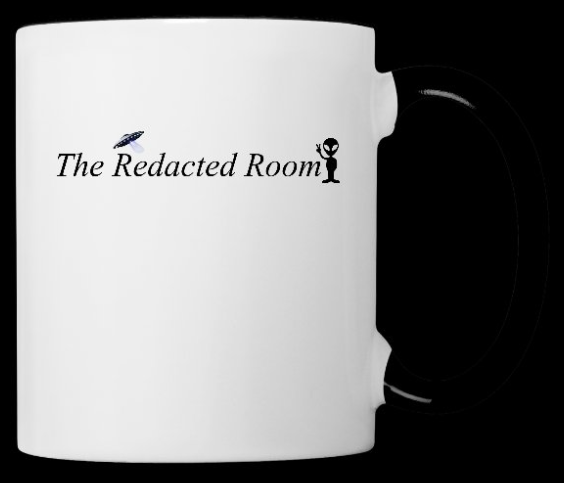Redacted Room Mug